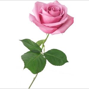 Meet your Posher, Alejandra